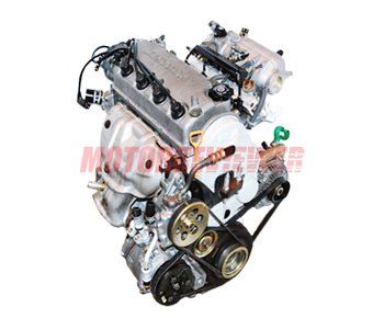 Honda D16A (B, V, W, Y, Z) Engine Specs, Problems, Oil, Integra, Civic